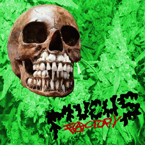 Mucus Factory : The Garbage Session Mucus Factory : The Garbage Session